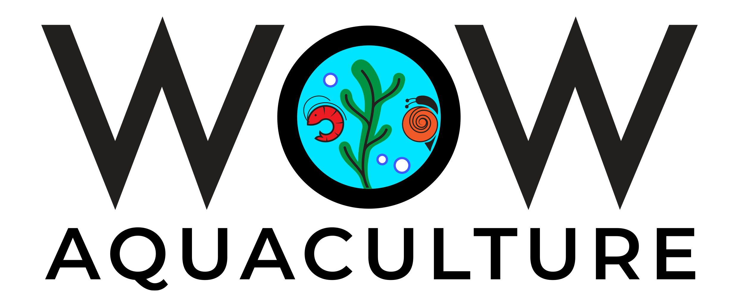 Wow Aquaculture logo